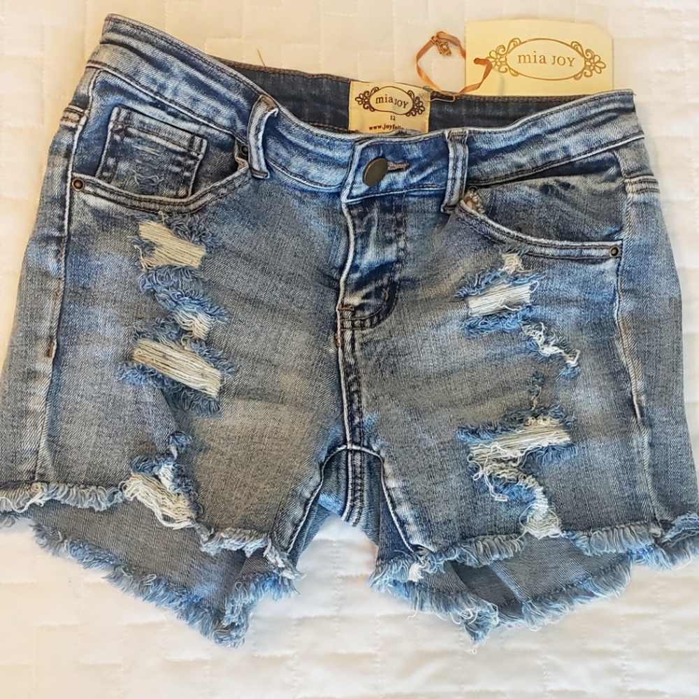 Joyfolie Marah shorts in Light Indigo size 12